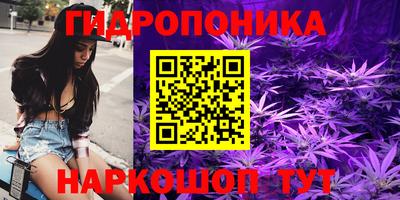 молекула духа Берёзовский