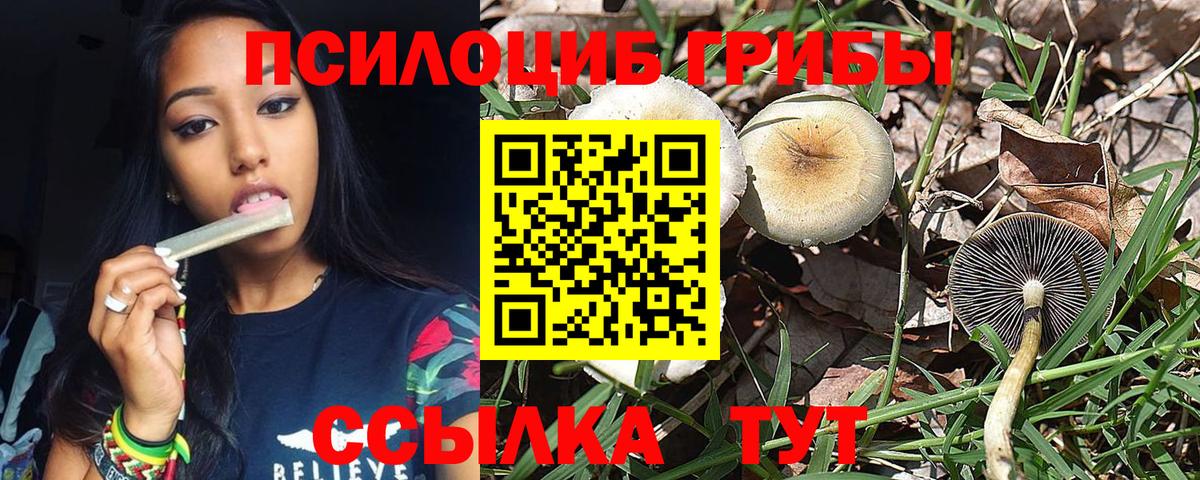 Псилоцибиновые грибы Cubensis Балаково