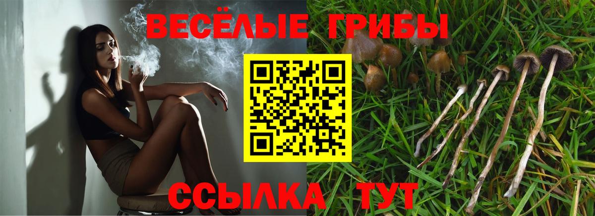 Балаково  Галлюциногенные грибы GOLDEN TEACHER  Вход с VPN  Псилоцибиновые грибы прущие грибы 